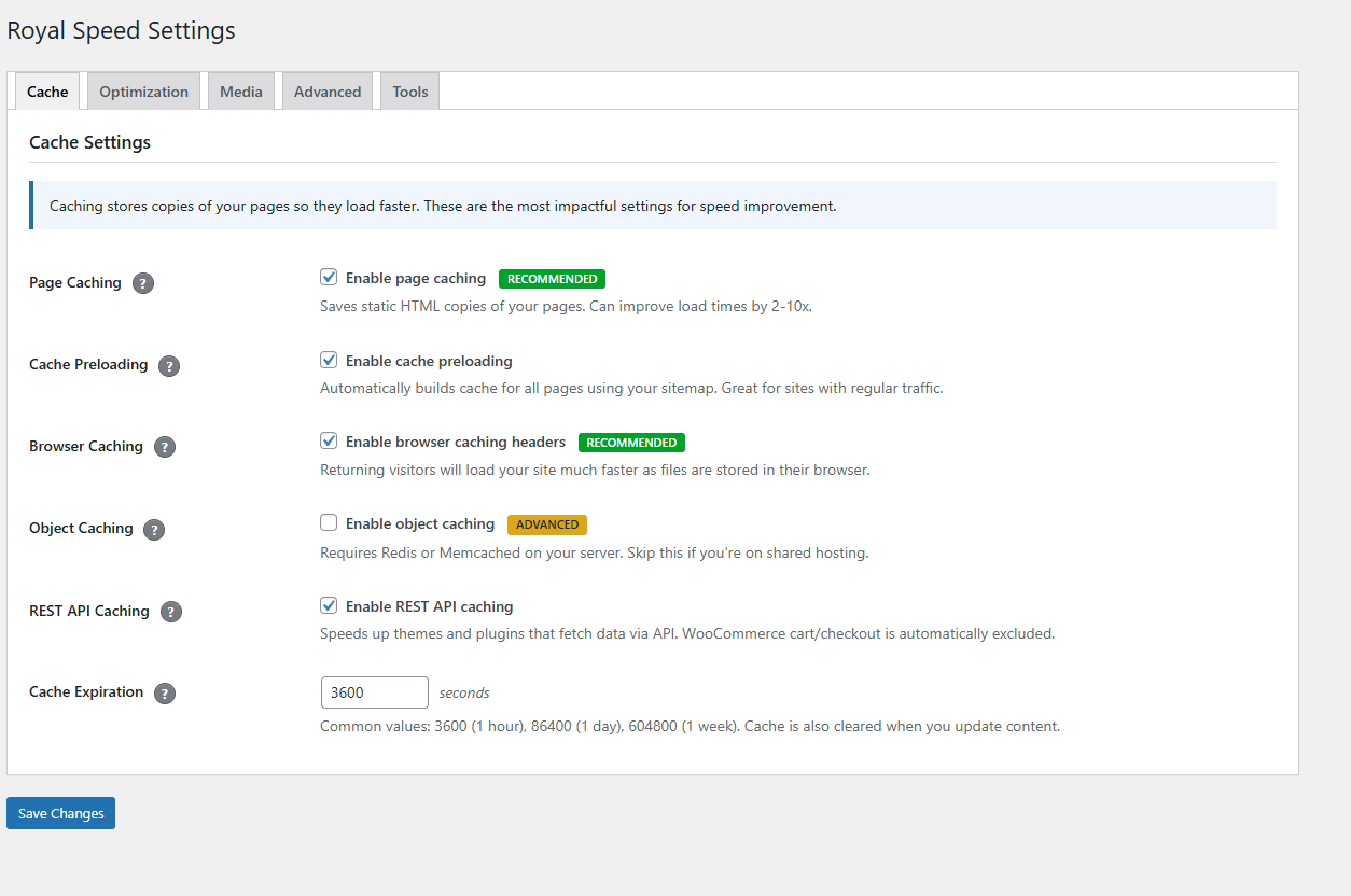 ForgeCache Cache Settings