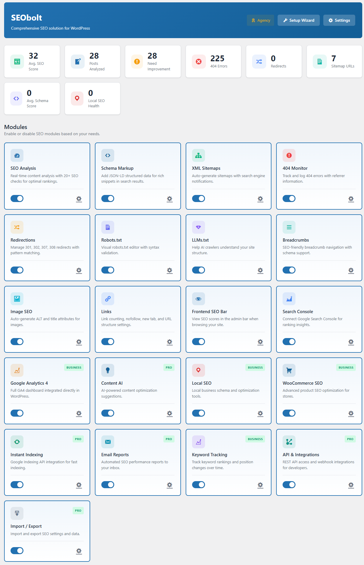 SEObolt Pro Plugin Dashboard